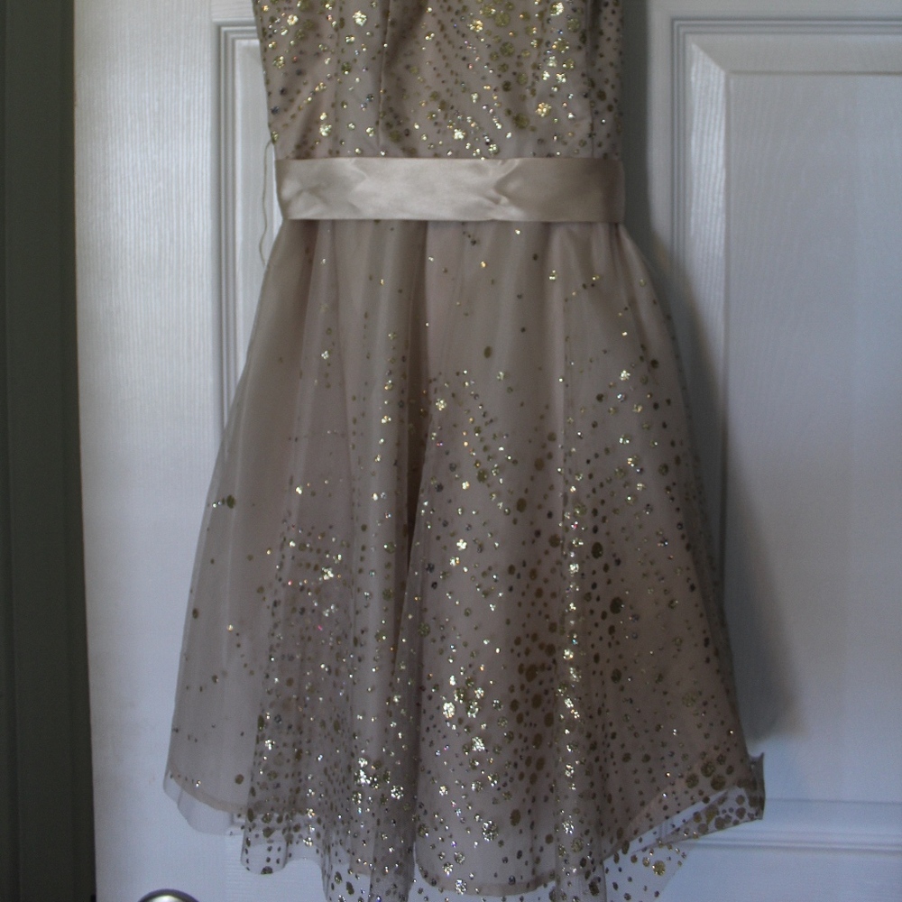 Hoco dress